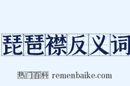 琵琶襟反义词是什么意思的图片